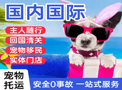 太原机场邮寄国际宠物托运 【国